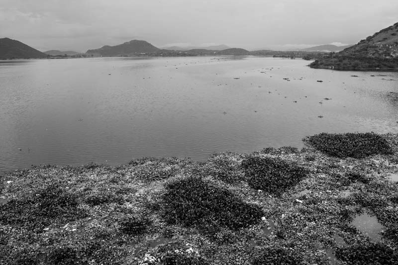 Wastewater Reuse: Udai Sagar Lake - the untreated sewage reservoir of Udaipur city, Rajasthan - an important source of irrigation water in the area